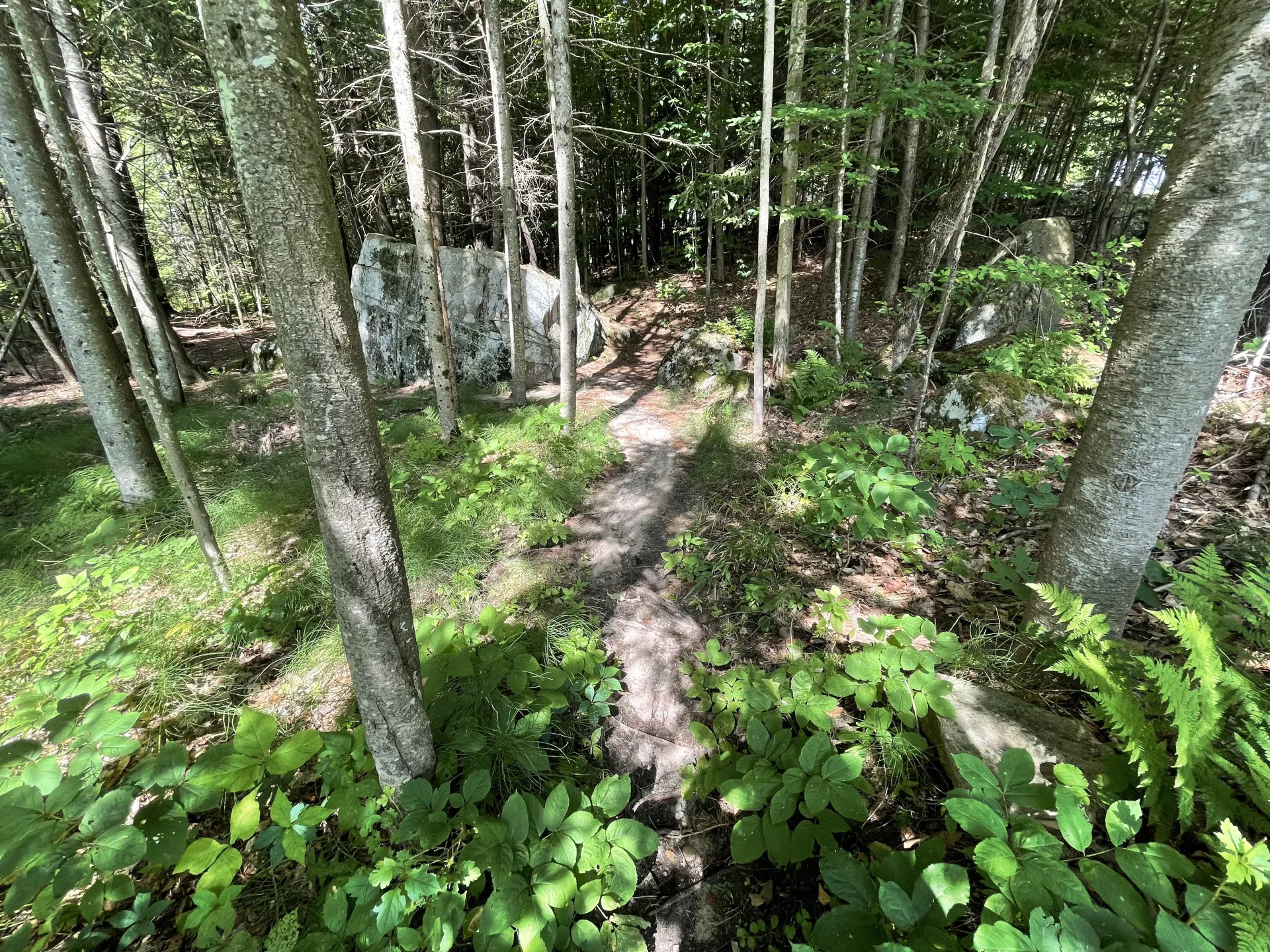 sunset park trail