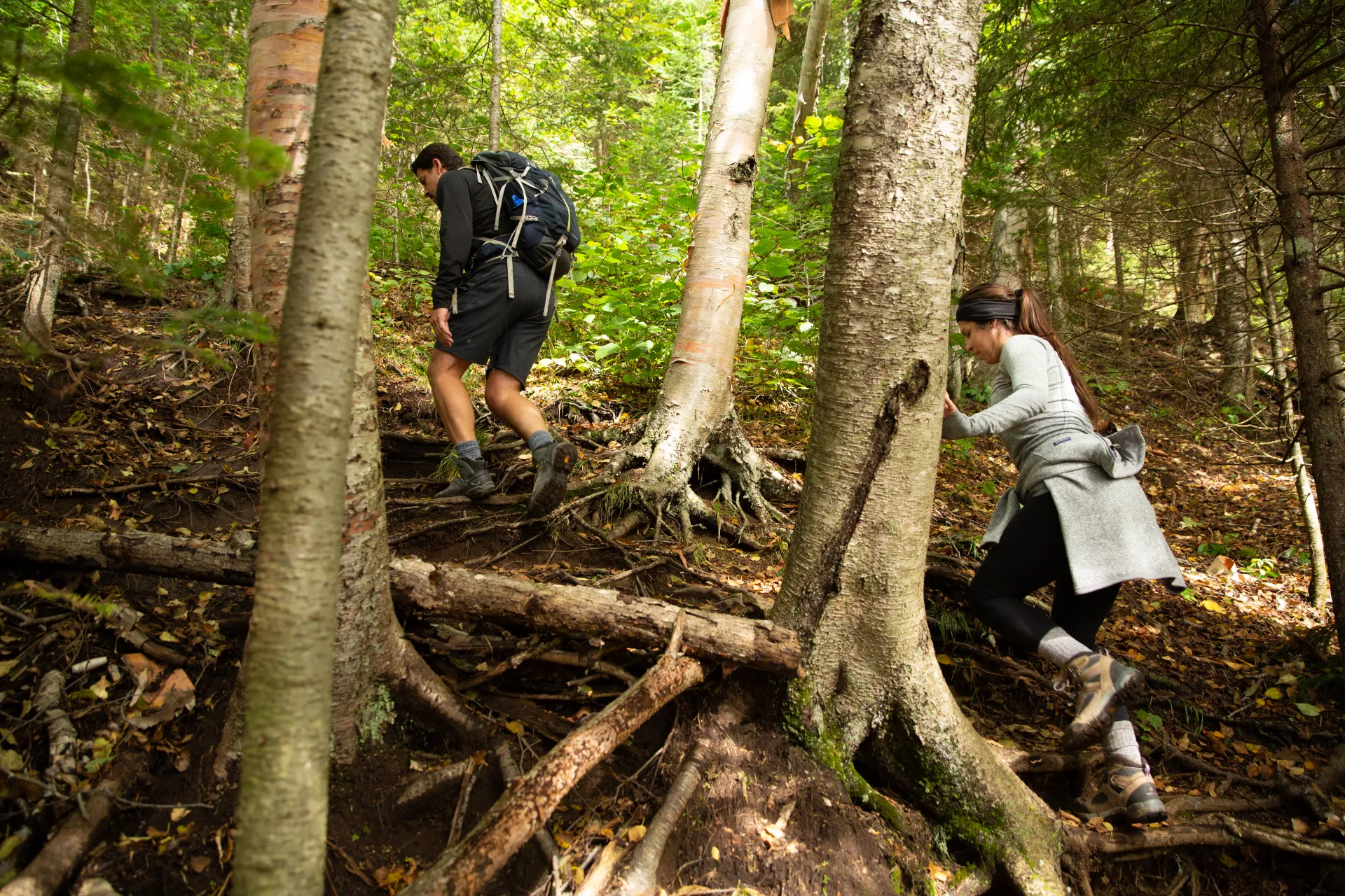 A lot of rugged trail to this destination deep in the forest.