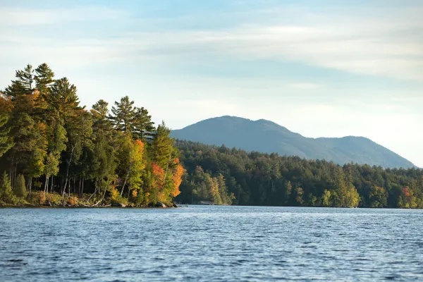 Plenty of room for everyone on Lower Saranac.