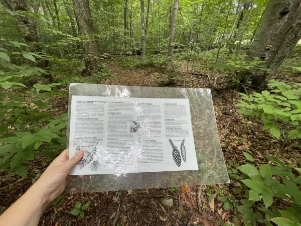 An interpretive brochure for a nature walk.