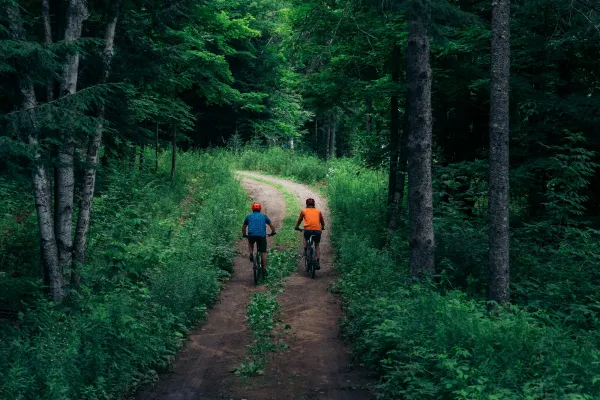 Two mountain bikers side by side