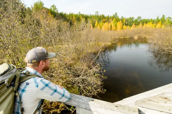 Hiker looking at waterway