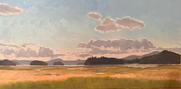 A mountain meadow sweeping across the scenery with mountains and puffy clouds.