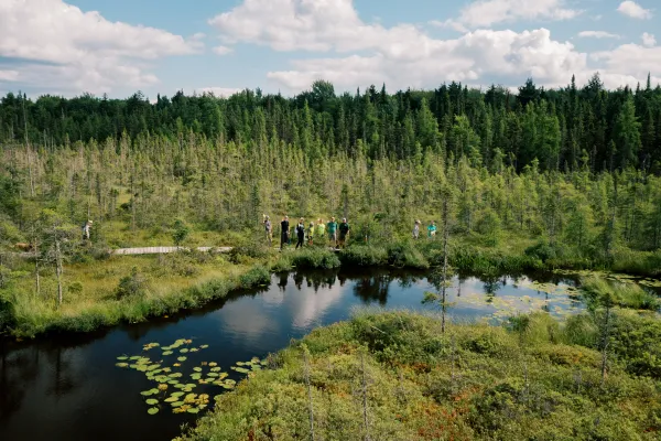biking at bog path at paul smiths 