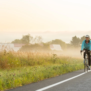 Road cyclists through a misty field.