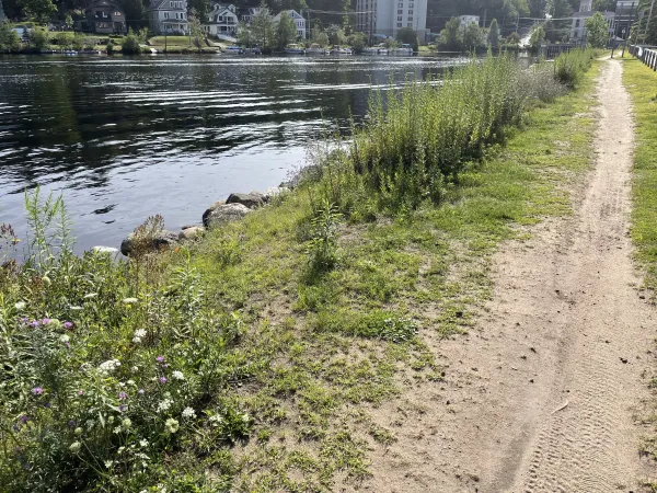 A narrow dirt path running along the edge of the water