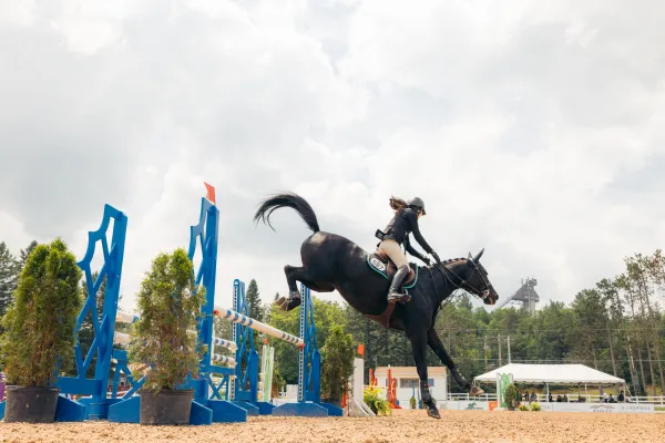 A rider on a black horse completes a jump over the bar.