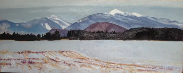 A snowy field with white capped mountains in the background