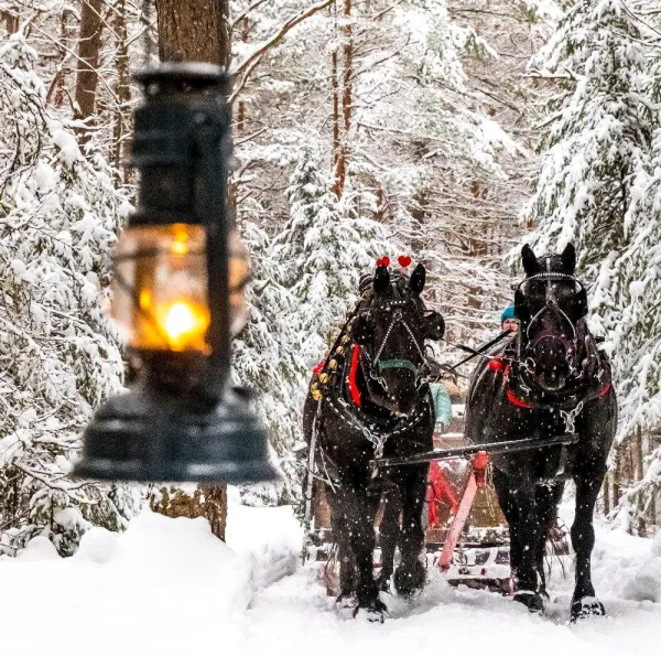 A sleigh with two horses pulling through a snowy forest with lantern light to guide the way.