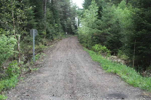 Dirt road leading to the rustic retreat at Rockledge Cabins & Retreats.