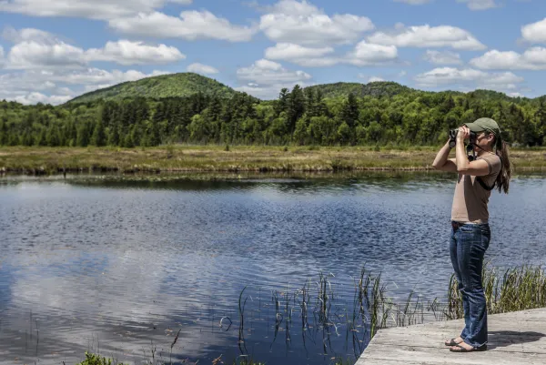 A birder looks through binoculars