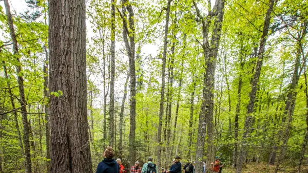 learn to ID 10 trees