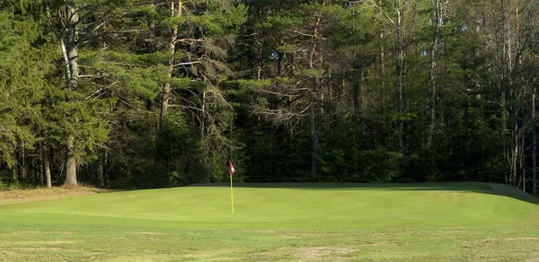 A red flag in the golf course.