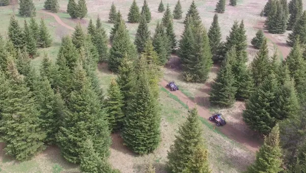 Aerial view of the path through the woods you will travers in the side by sides  