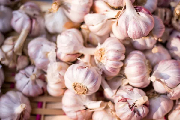 A close-up shot shows a dense pile of fresh garlic bulbs with light purple-streaked husks resting in a woven basket.