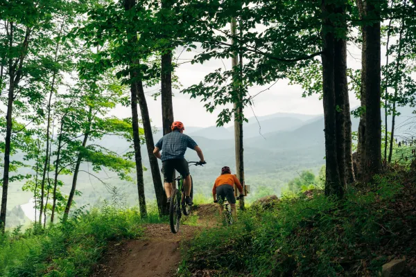 Two mountain bikers leaving the forest