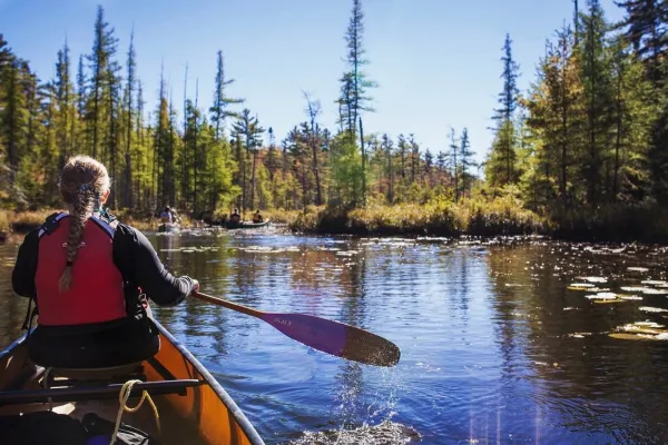 View of the river from the back seat of the canoe.