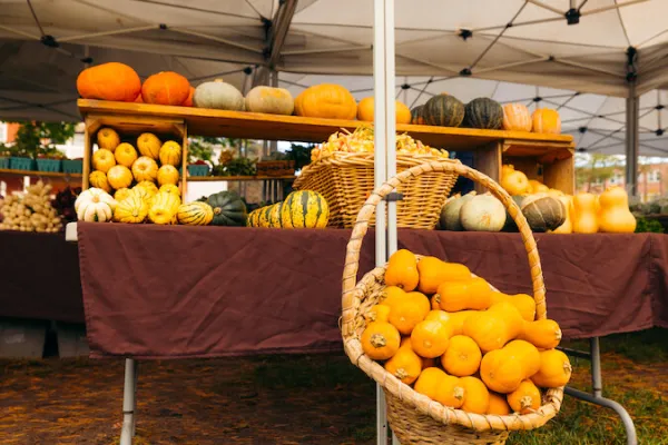 table under tent with fall pumpkins, squash, etc. 