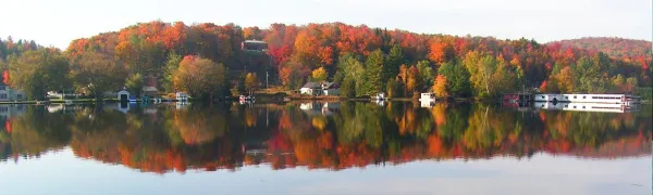 Fall foliage by a pristine, glass lake.