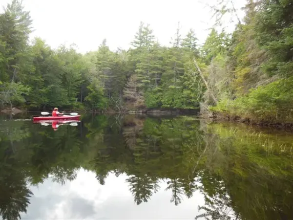 A red kayak on a flat body of water surrounded by tall pines