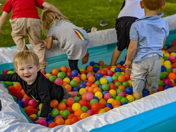 Little ones enjoy a ball pit set up in an inflatable swimming pool