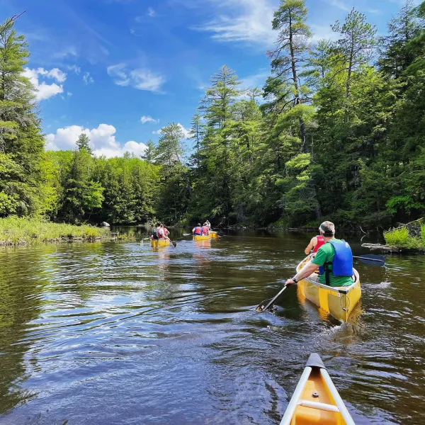 A group of canoes paddle down the river.