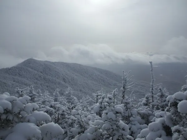 A snowy mountain range with evergreen trees