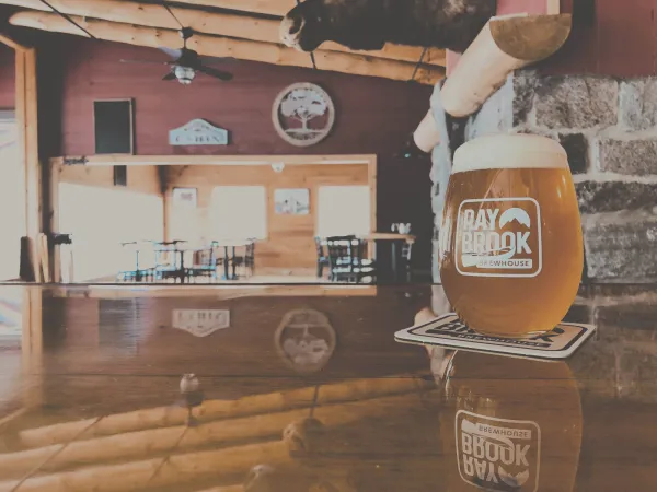 Deep in the Adirondacks, in the hamlet of Ray Brook, NY, sits Ray Brook Brewhouse.