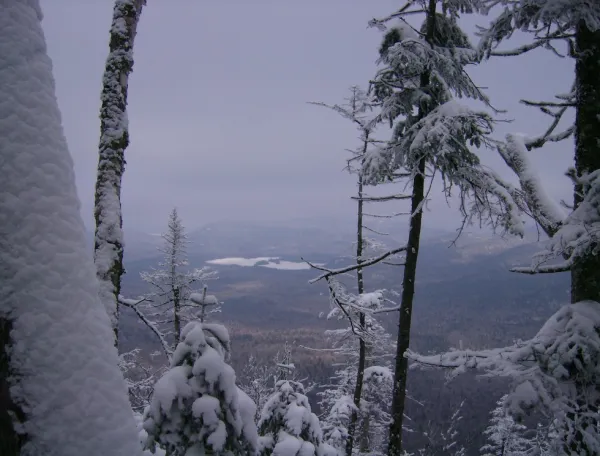 A winter view through the trees on a peak