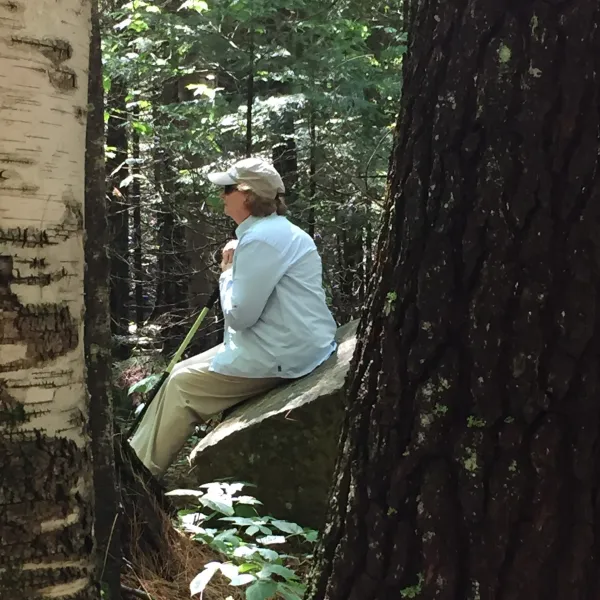 A person sits on a stump deep in the woods to engage with their surroundings.