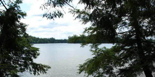 Round Pond seen from the shoreline