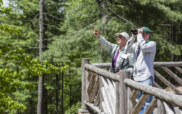 A couple birders look through binoculars and point