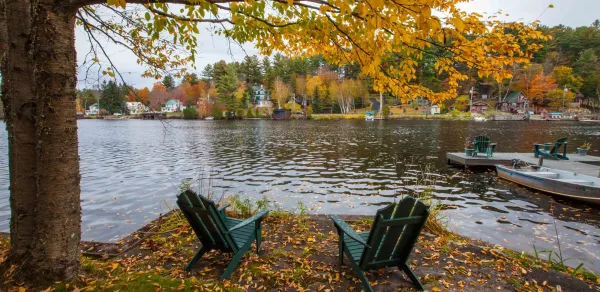 Fall foliage next to the water with adirondack style chairs.