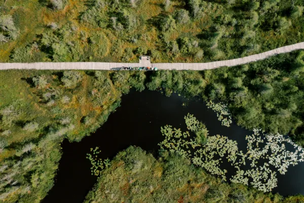 drone shot of boardwalk at VIC with bikers