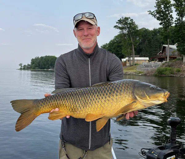 A man holds a giant carp.