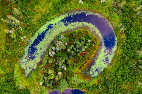 Saranac River oxbow from the air