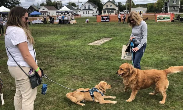 Two dogs and their owners meet up at Bark in the Park