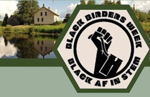 black birders week