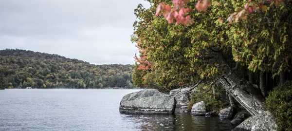 Shoreline trees start to show vibrant fall colors. 