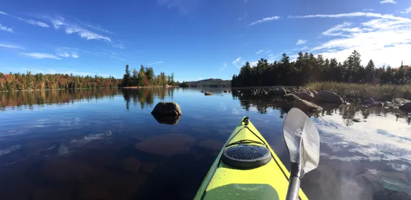 Kayaking on glass water between tall pine trees