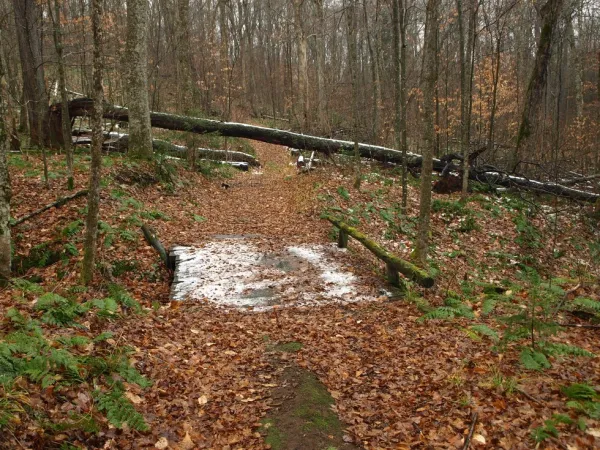 This trail is open up to the lean-to in spring. Walk through to mud to protect the trail.