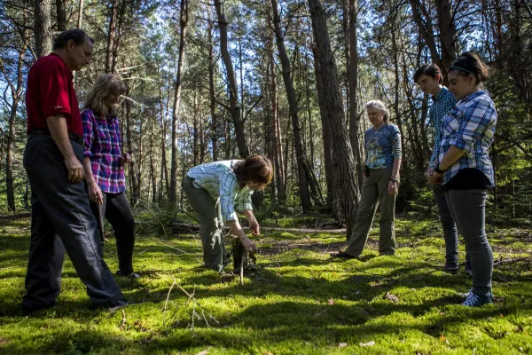 Your guide brings your attention to the moss carpet padding the ground beneath your feet.