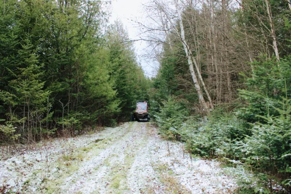 A side by side navigates a narrow patch of path between pine trees over freshly fallen early season snow 