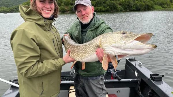 A giant pike held in the boat.