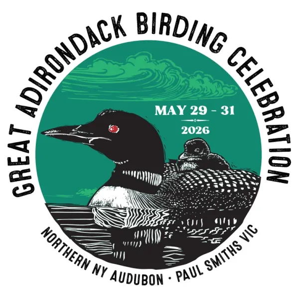 Great adirondack birding  celebration May 29, 30, 31 2026
