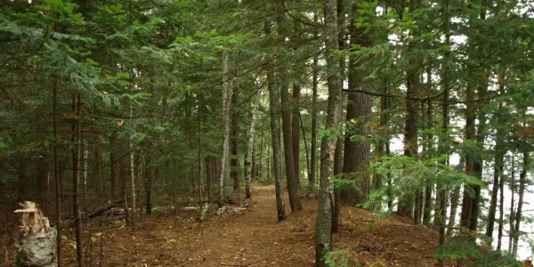 These paths can be hiked or used for trail running.