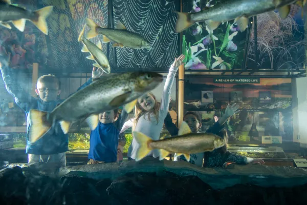 View of children watching a school of fish in an exhibit