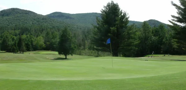 A blue flag in the golf hole.
