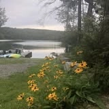 A view of the lake with black eyed susans and plastic boats.