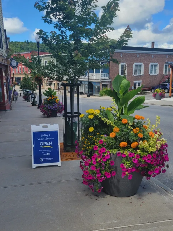 Sidewalk in summer time with overflowing potted plants and a sandwich board pointing you towards the gallery
